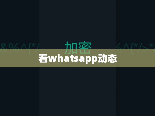 看whatsapp动态