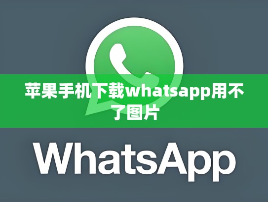 苹果手机下载whatsapp用不了图片