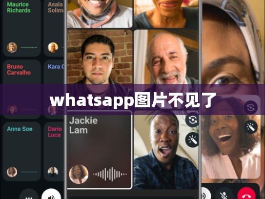 whatsapp图片不见了