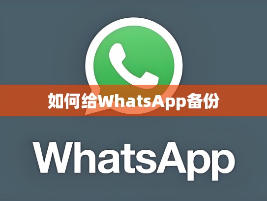 如何给WhatsApp备份