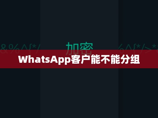 WhatsApp客户能不能分组