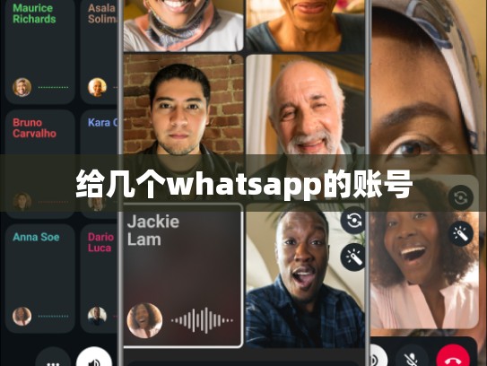 给几个whatsapp的账号