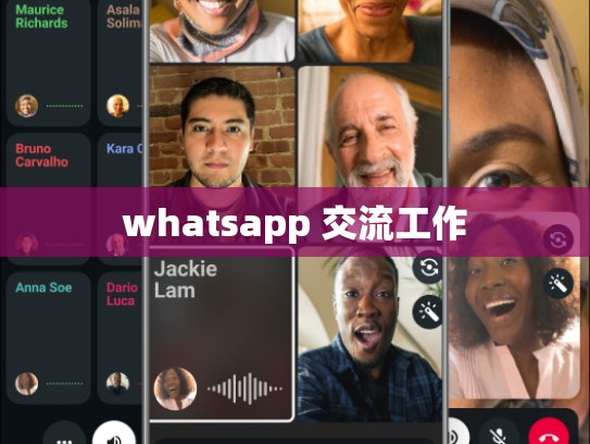 whatsapp 交流工作