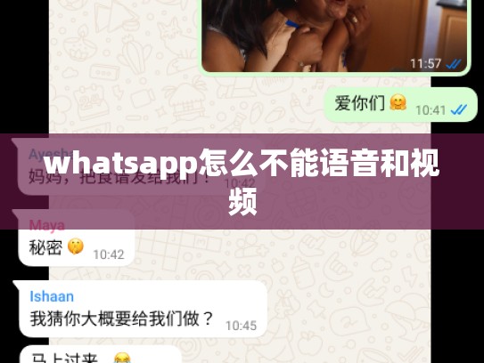 whatsapp怎么不能语音和视频