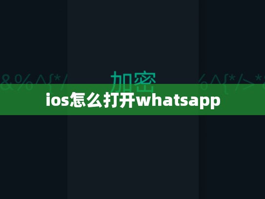ios怎么打开whatsapp