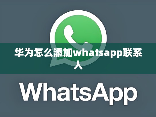 华为怎么添加whatsapp联系人