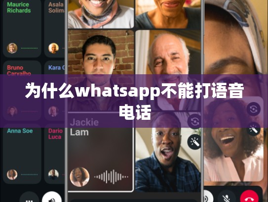 为什么whatsapp不能打语音电话