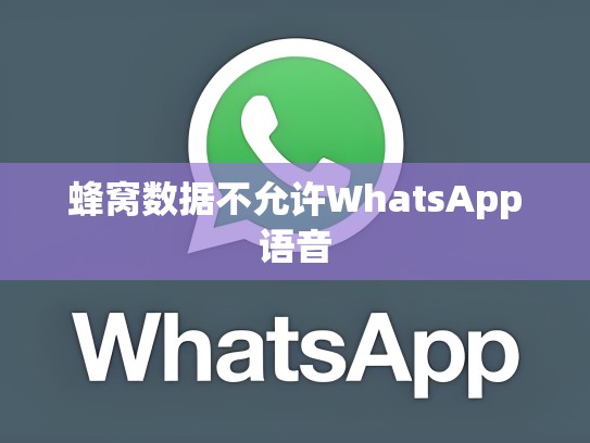 蜂窝数据不允许WhatsApp语音