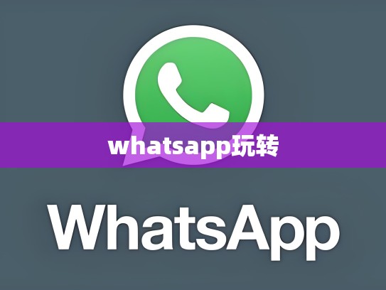 whatsapp玩转