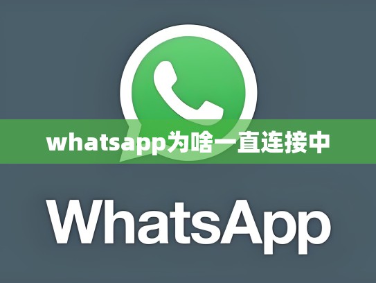 whatsapp为啥一直连接中