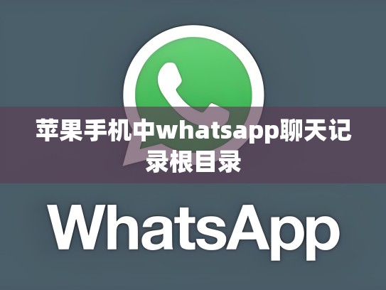 苹果手机中whatsapp聊天记录根目录