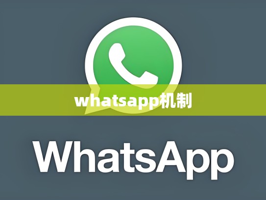 whatsapp机制