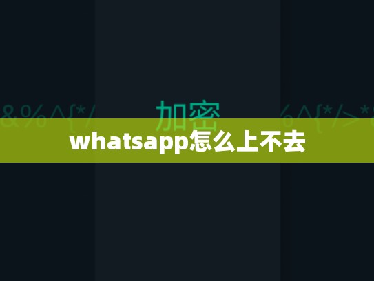 whatsapp怎么上不去