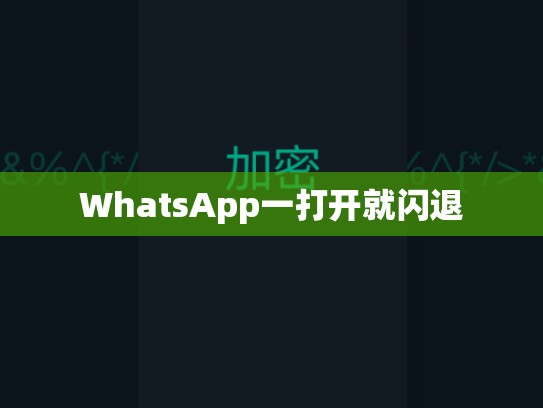 WhatsApp一打开就闪退