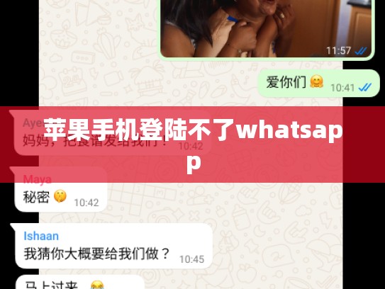 苹果手机登陆不了whatsapp