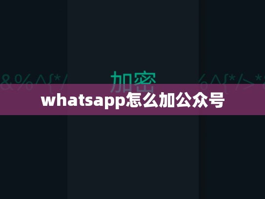whatsapp怎么加公众号