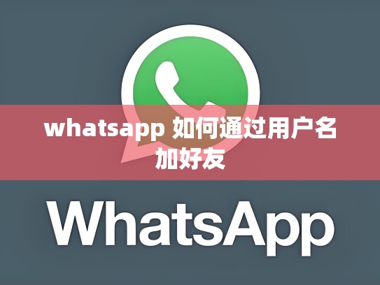 whatsapp 如何通过用户名加好友
