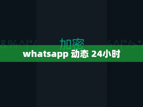 whatsapp 动态 24小时