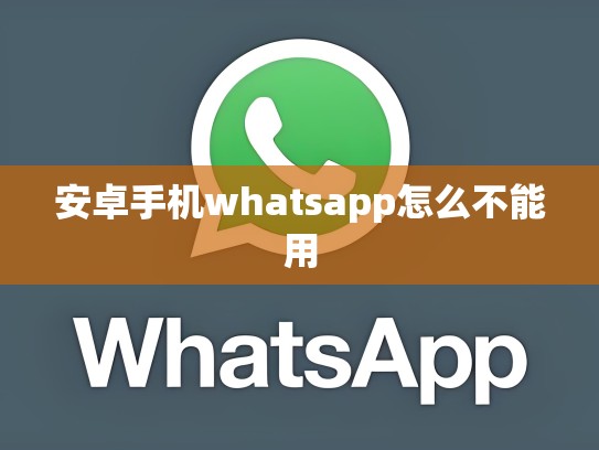 安卓手机whatsapp怎么不能用