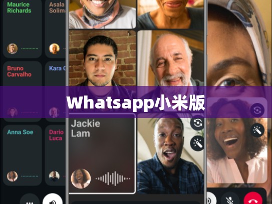 Whatsapp小米版