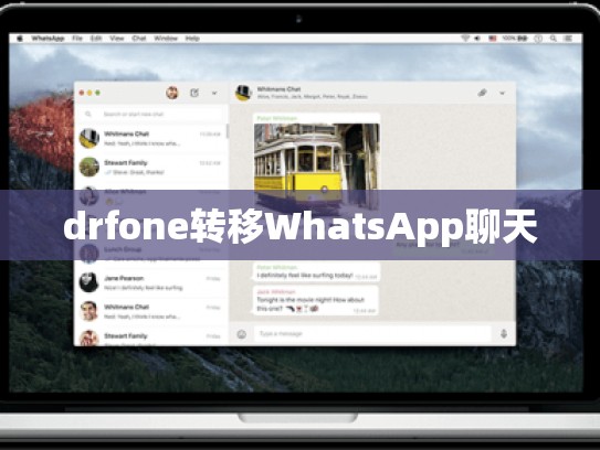 drfone转移WhatsApp聊天