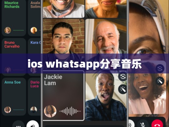 ios whatsapp分享音乐