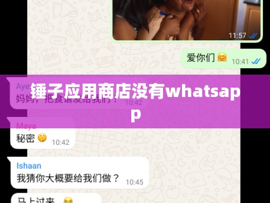 锤子应用商店没有whatsapp
