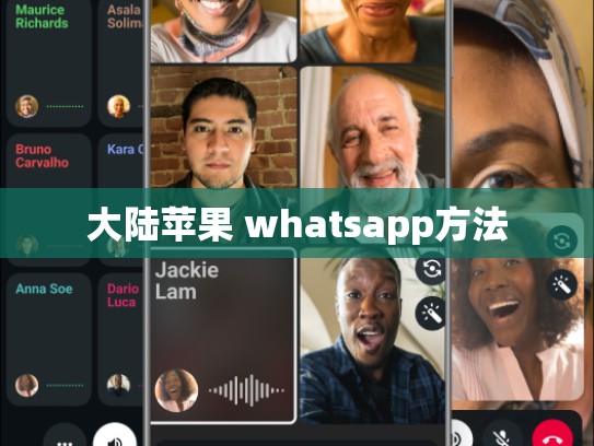 大陆苹果 whatsapp方法