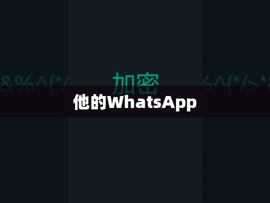 他的WhatsApp
