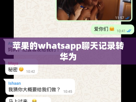 苹果的whatsapp聊天记录转华为