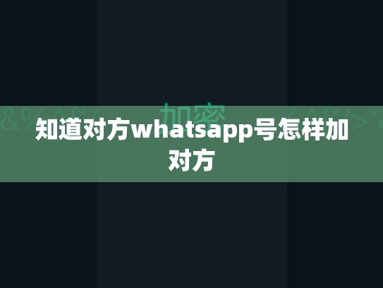 知道对方whatsapp号怎样加对方