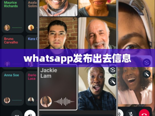 whatsapp发布出去信息