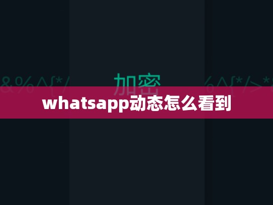 whatsapp动态怎么看到