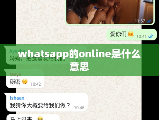 whatsapp的online是什么意思