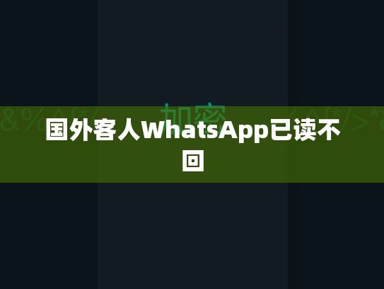 国外客人WhatsApp已读不回