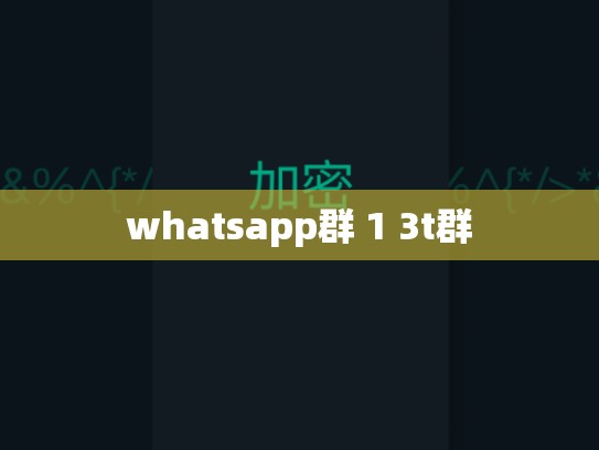 whatsapp群 1 3t群