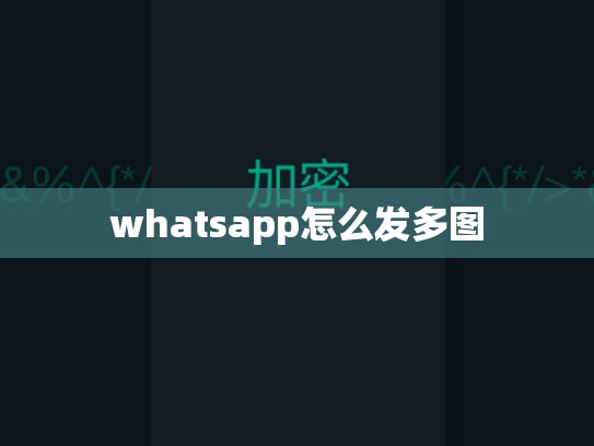 whatsapp怎么发多图