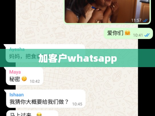 加客户whatsapp
