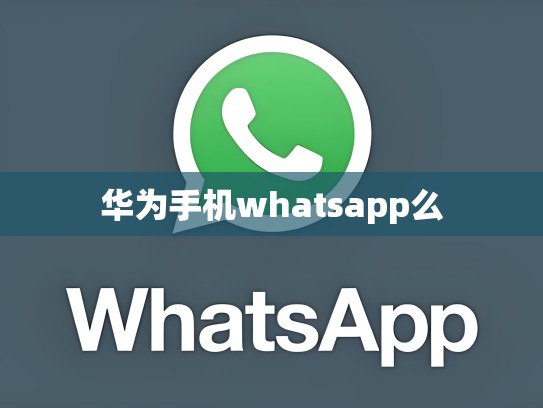 华为手机whatsapp么