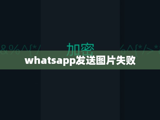 whatsapp发送图片失败