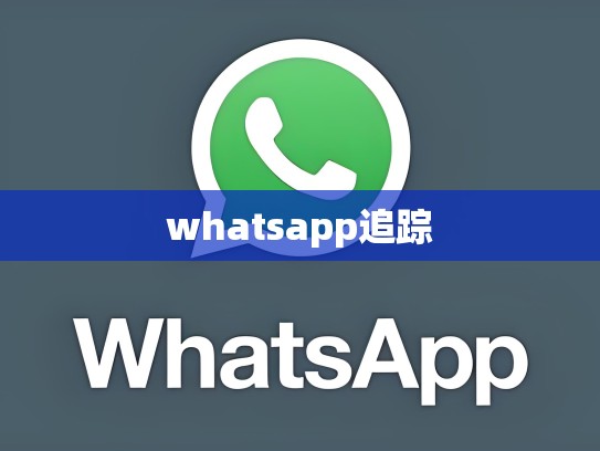 whatsapp追踪