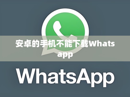 安卓的手机不能下载Whatsapp