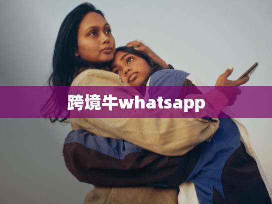 跨境牛whatsapp