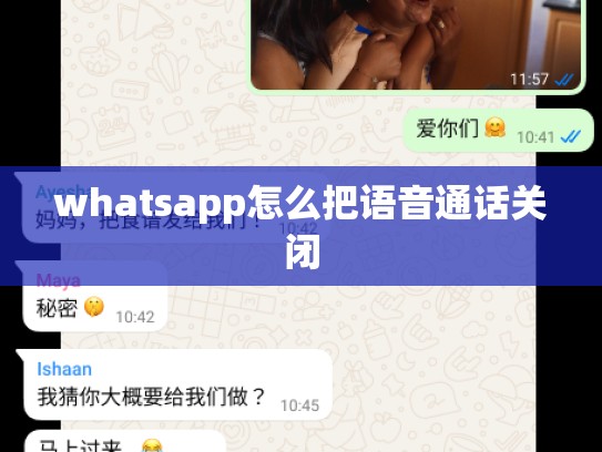 whatsapp怎么把语音通话关闭