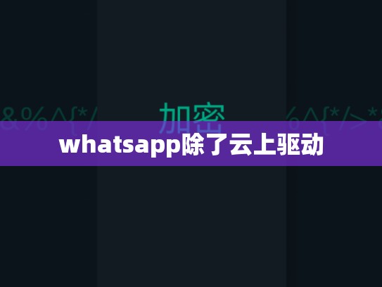 whatsapp除了云上驱动
