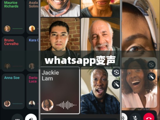whatsapp变声