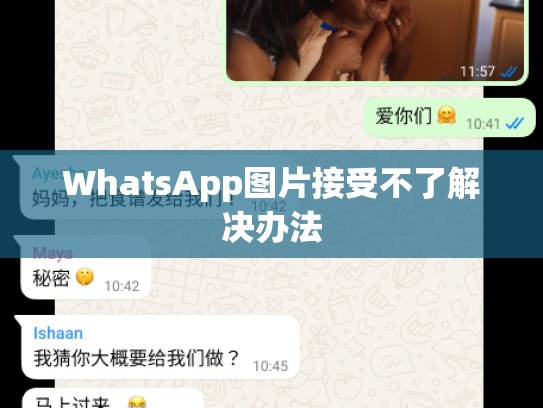 WhatsApp图片接受不了解决办法