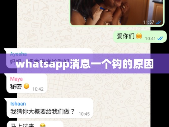 whatsapp消息一个钩的原因