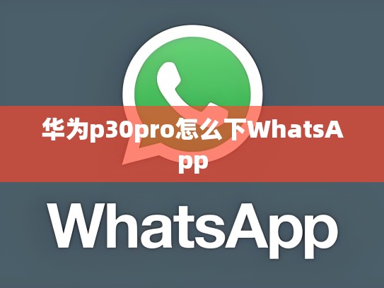 华为p30pro怎么下WhatsApp