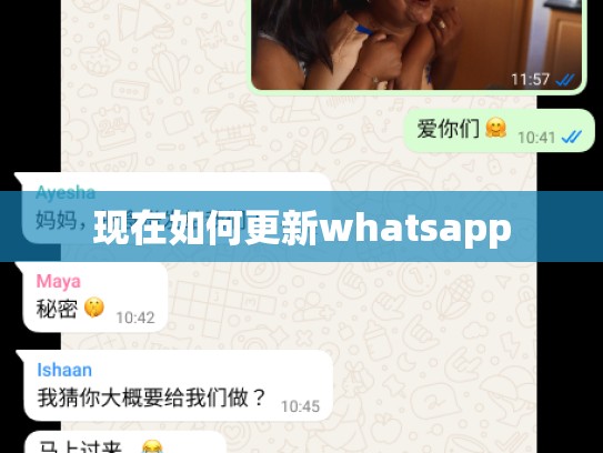现在如何更新whatsapp